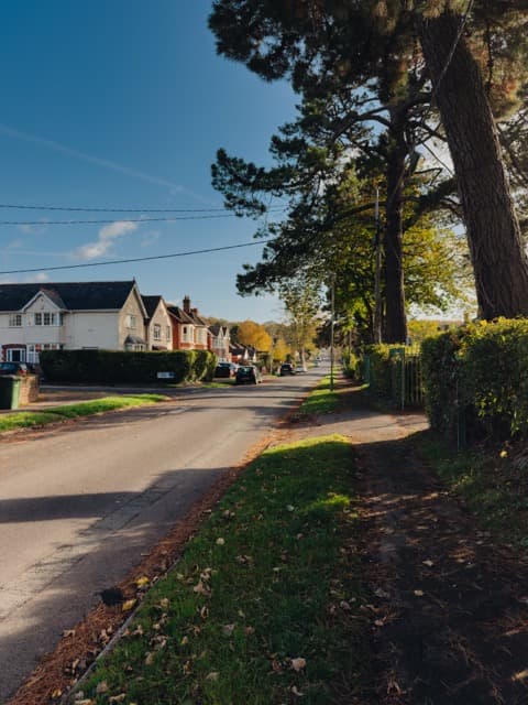 iPhone photo example 11